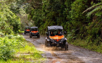 Funduras Buggy Tour in Madeira