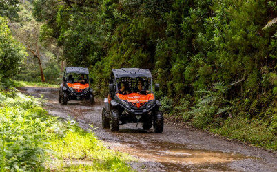 Funduras Buggy Tour in Madeira