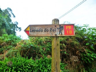 Guided Levada do Rei Ribeiro Bonito Walk