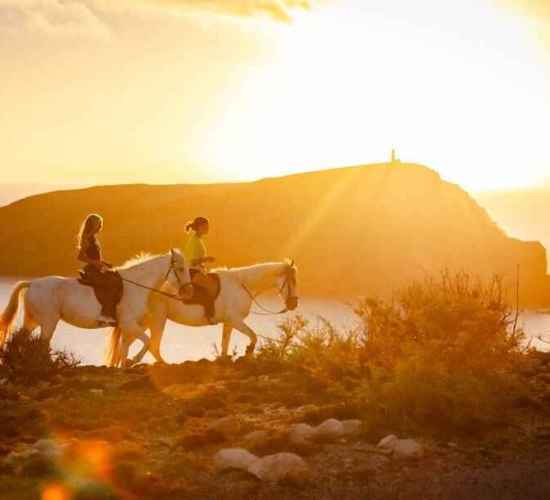 Horse Riding in Porto Santo – Vigia das Baleias Sunset Experience