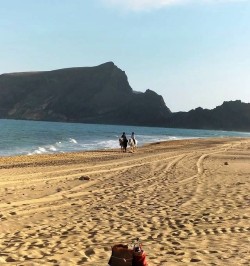 Passeio a Cavalo em Porto Santo na Praia