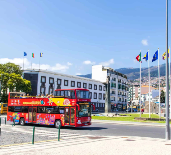 ICONIC Red Bus Tour