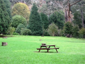 Jardim da Quinta da Junta Garden, Santo Antonio da Serra, Madeira