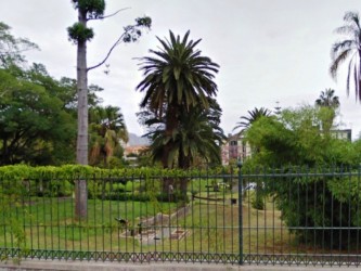 Jardim da Quinta Magnólia Garden, Funchal, Madeira