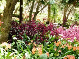 Jardim Quinta da Boa Vista garden, Funchal, Madeira