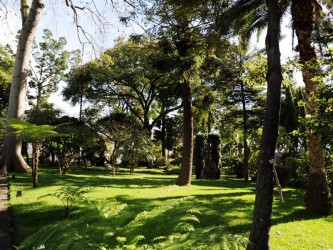 Jardim Quinta das Cruzes Gardens, Funchal, Madeira Island