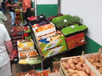 Delícias Rurais – Sudeste (Mercado) Passeio de Jipe Dia Inteiro