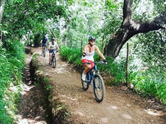 Levada da Serra do Faial - Fajã dos Rolos Mountain Bike Tour