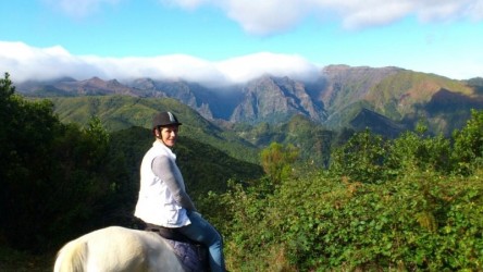 Pico do Suna Horse Riding Trail in Madeira Island
