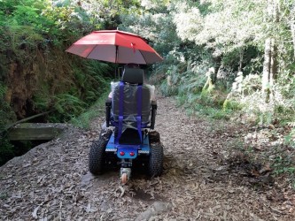 Levada das Queimadas excursão acessível a partir do Funchal, Madeira