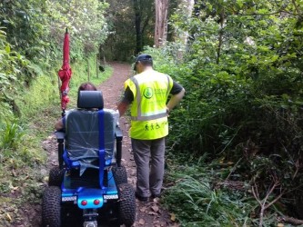 Levada das Queimadas Accessible Tour from Funchal, Madeira