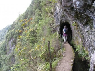 Levada Walk from Ribeiro Frio to Portela in Madeira