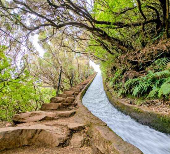 Levada do Alecrim (PR6.2) – Complete Guide to One of Madeira’s Hidden Waterfall Trails