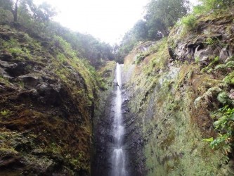 Excursiones de canyoning en Madeira