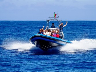 Madeira Dolphin Watching on Speed Boat Tour