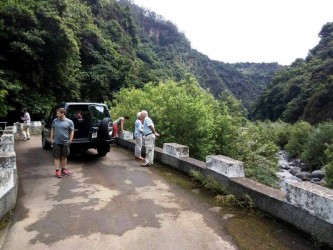 madeira jeep excursion to north