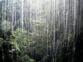 Levada do Rei Walk in Madeira Island