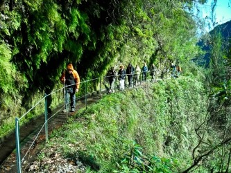 Levada do Rei Walk in Madeira Island