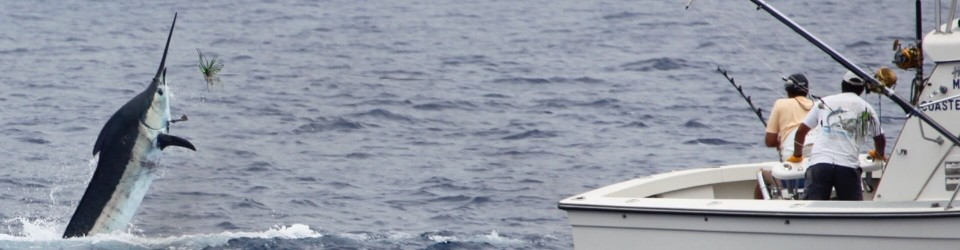 Pesca Desportiva na Madeira Barco Privado