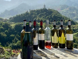 Madeira Wine Safari com Tapas e Prova de Vinhos