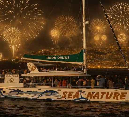 Madeira New Year Fireworks on Board of a Catamaran