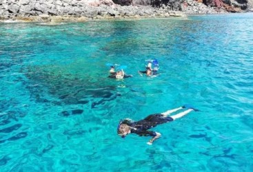 Excursão de Snorkelling na Madeira à Reserva Natural do Garajau