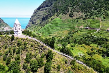 Madeira Vineyard 4x4 Excursion with Wine Tasting and Skywalk
