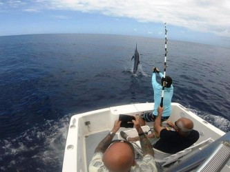 Madeira Big Game Fishing Charter from Funchal