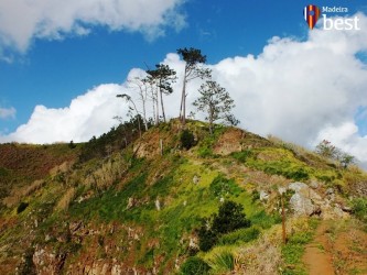 Miradouro da Raposeira Viewpoint, Faja da Ovelha, Calheta, Madeira