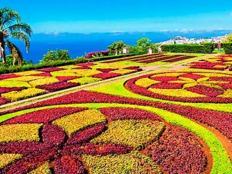 Monte & Botanical Gardens Tour in Madeira