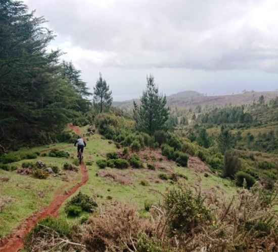 Passeio de BTT na Ilha da Madeira