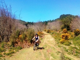 Mountain Bike Ride in Madeira