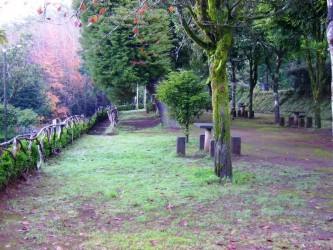 Parque Florestal das Queimadas Forest Park, Santana, Madeira
