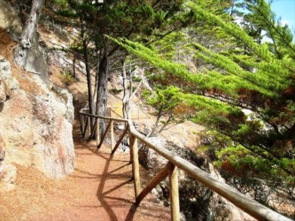 PR1 Vereda do Pico Branco e Terra Chã Hiking Trail in Porto Santo