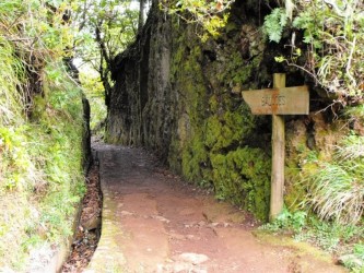 PR11 Vereda dos Balcoes Walk in Madeira Island