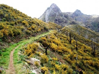 PR12 Caminho Real da Encumeada Hiking Trail in Madeira