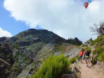 PR1.2 Vereda do Pico Ruivo Hiking Trail in Madeira