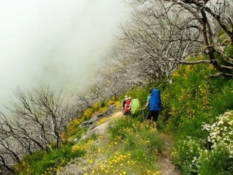 The PR1.3 Vereda da Encumeada Hiking Trail in Madeira