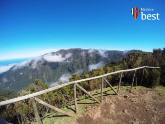 PR13 Vereda do Fanal Hiking Trail in Madeira Island