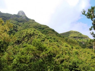 PR17 Caminho do Pinaculo e Folhadal Hiking Trail in Madeira