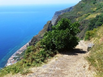 PR19 Caminho Real do Paul do Mar Hiking Trail in Madeira