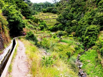 PR5 Vereda das Fonduras Hiking Trail in Madeira