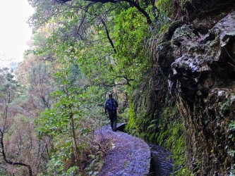 PR9 Caldeirão Verde Levada Walk in Madeira Island