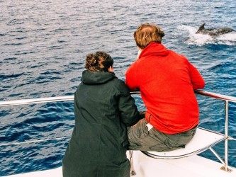 Private Whale Watching Trip of 3h from Funchal (1)