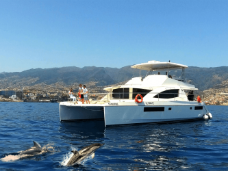 PRIVADO Avistamento de Golfinhos e Baleias com tudo incluído, Madeira