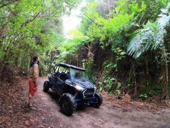 Private buggy tour in Madeira - The Forest Escape
