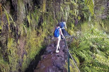 Paseo Privado Caldeirao Verde Madeira