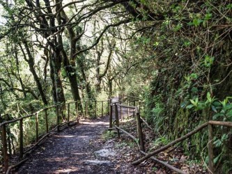 Queimadas – A way for all hiking trail in Santana, Madeira