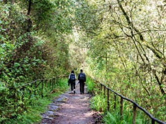 Queimadas – A way for all hiking trail in Santana, Madeira