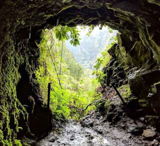 Levada Queimadas - Caldeirão Verde